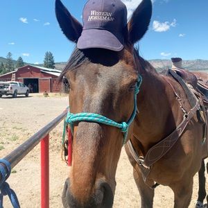 Meet your Posher, Hailee